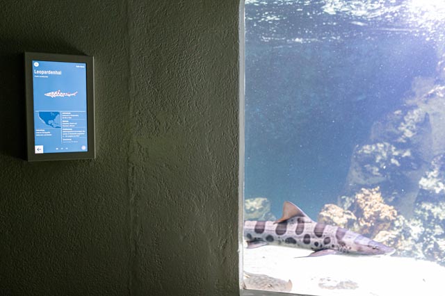 Digitale Bildschirme bereichern neu das Vivarium. Foto: Zoo Basel