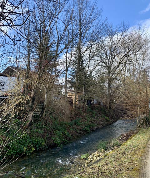Gelterkinden BL: Ufergehölzpflege entlang des Eibachs