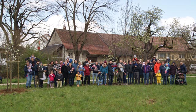 Am Samstag wurden drei Birnbäume gepflanzt. Foto: zVg