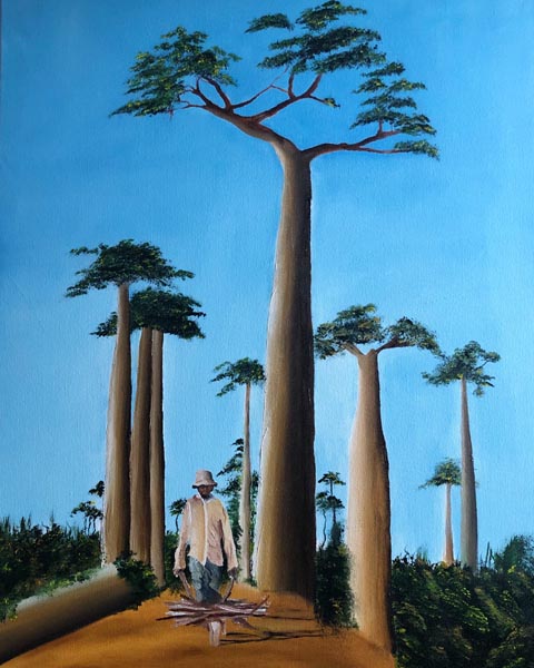 Madagaskar. Foto: zVg