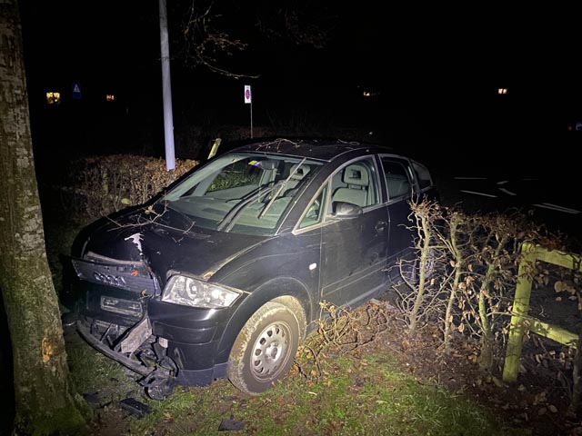 Betrunken gegen Baum gefahren. Foto: Polizei AG