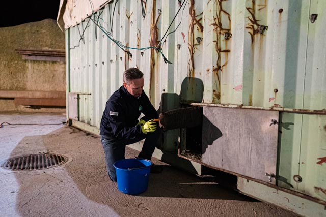 Für den Afrikanischen Elefanten Tusker braucht es einen grossen Container. Foto: Zoo Basel