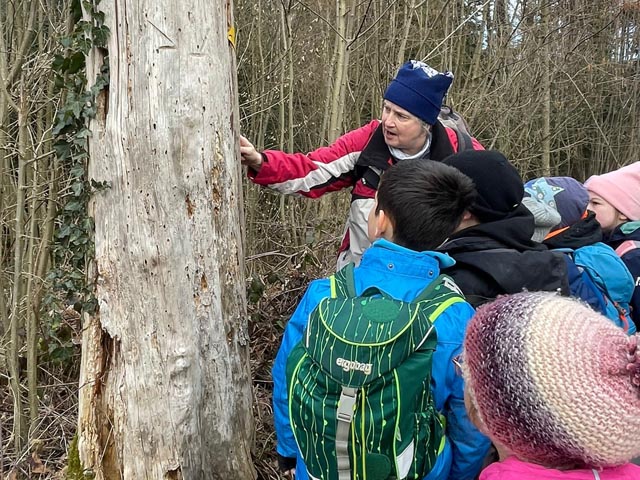 Interessiert starteten die Kinder ins neue Salimanderjahr. Foto: zVg