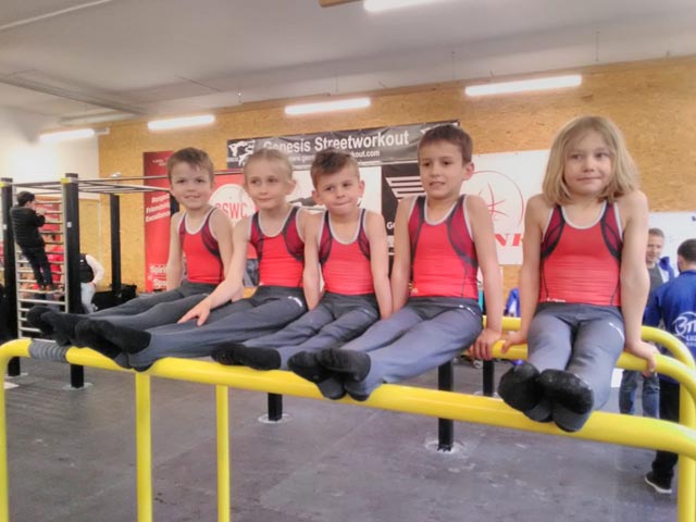 Die Sulzer Kunstturner im Nordwestschweizerische Kunstturn- und Trampolinzentrum in Liestal. Foto: zVg