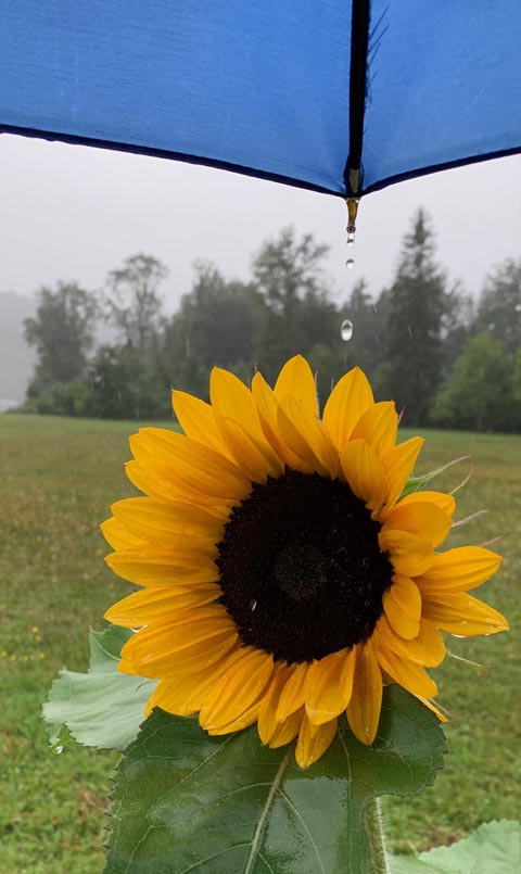 Foto: Margrit Freudemann, Kaisten