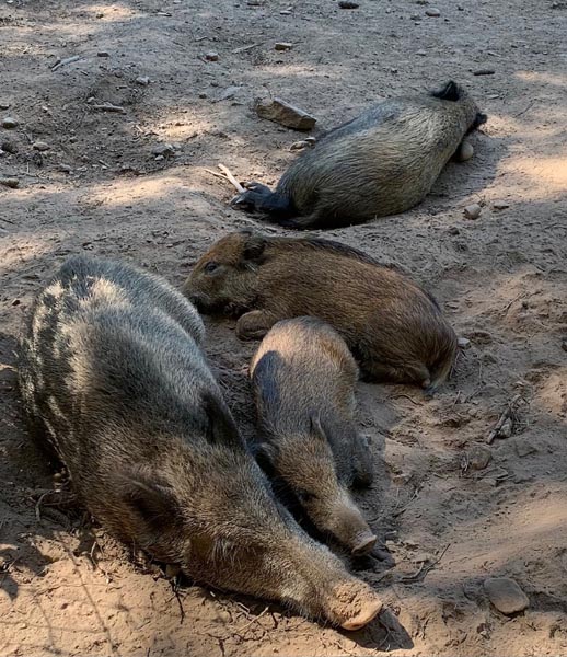 Foto: Margrit Freudemann