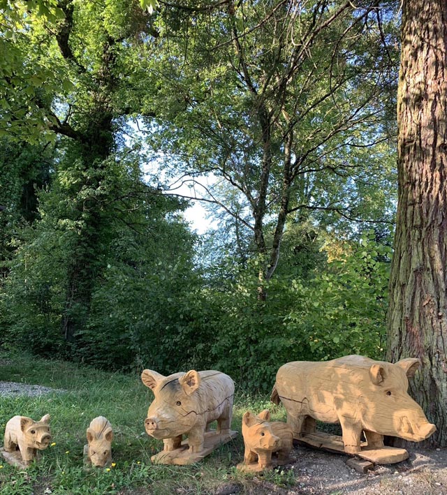 Wunderschön geschnitzte Wildschwein-Familie. Gesehen im Wald Kaisten. Foto: Margrit Freudemann