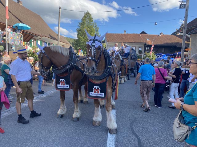 Der Sechsspänner der Brauerei Feldschlösschen brachte das Freibier für die Besucher. Foto: Sonja Fasler