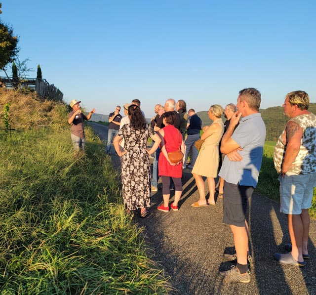 Beim Gang durch die Reben erfuhren die Teilnehmer viel Interessantes. Foto: zVg