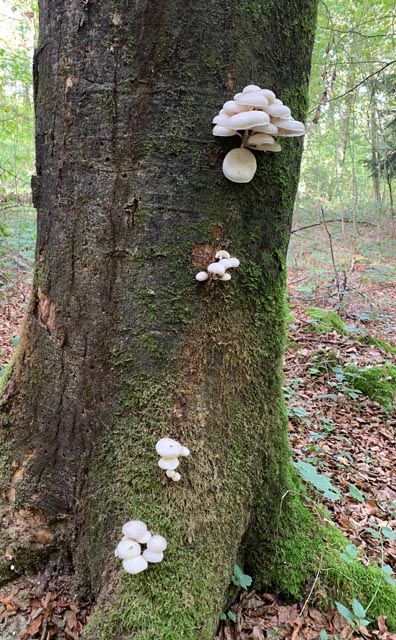 Foto: Margrit Freudemann