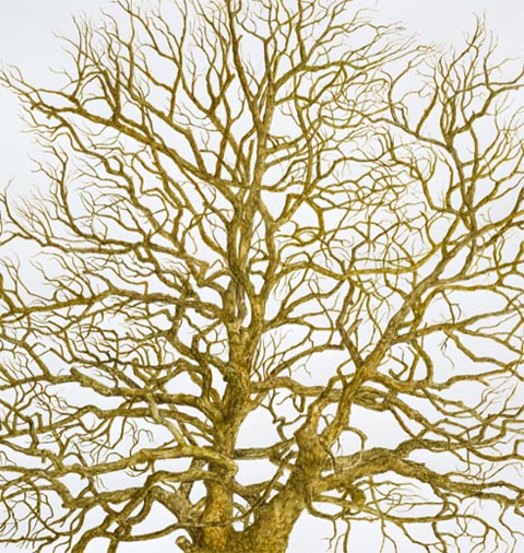 Bild von Gitta von Felten. Foto: zVg