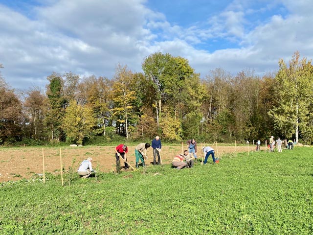 Mit Pickel und Schaufel zugunsten der Biodiversität. Foto: zVg