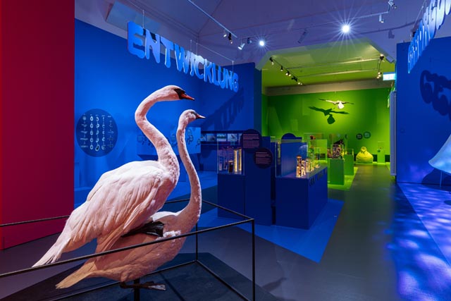 Aus der Paarung entsteht neues Leben. Foto:© Matthias Willi   