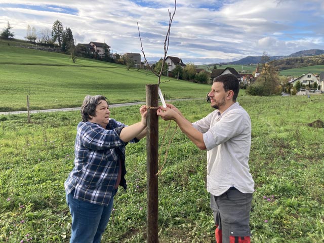 Gemeinderätin Vesna Wöhler und Dominik Hügli von BirdLife Schweiz mit einem Jungbaum. Foto: © Jurapark Aargau
