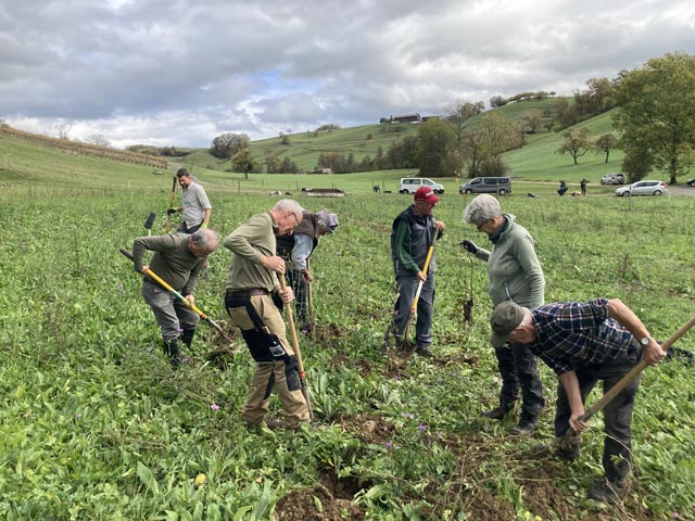 Voller Einsatz von der «Seniorengruppe Grauschnäpper». Foto: © Jurapark Aargau