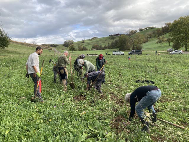 Voller Einsatz von der «Seniorengruppe Grauschnäpper». Foto: © Jurapark Aargau