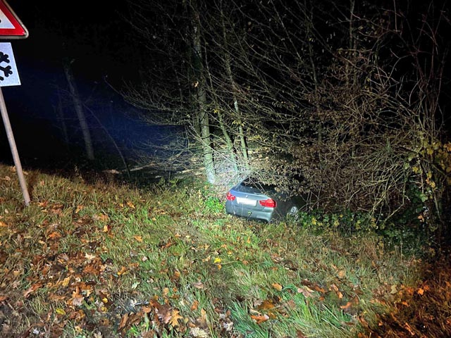 Selbstunfall im Hardwald bei Kaisten. Foto: Polizei AG