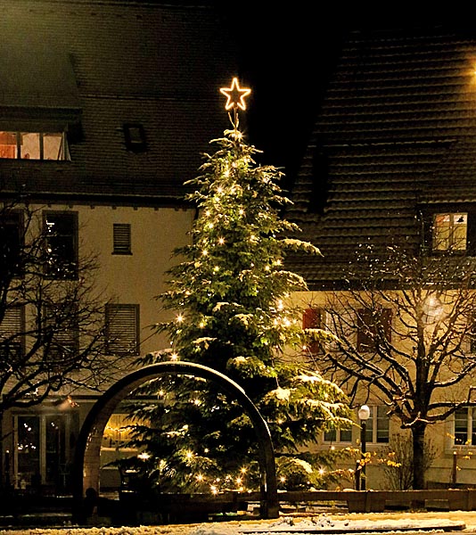Die Weihnachtstanne beim Eichhörnli-Brunnen. Foto: zVg