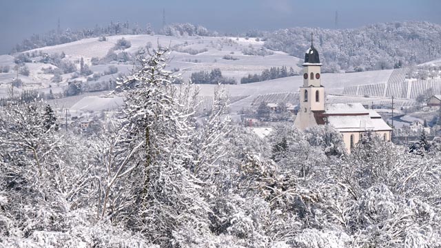 Foto: Bianca Kühweidner