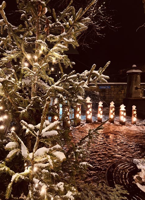 Das Siegerbild. Foto: Oliva Hasler