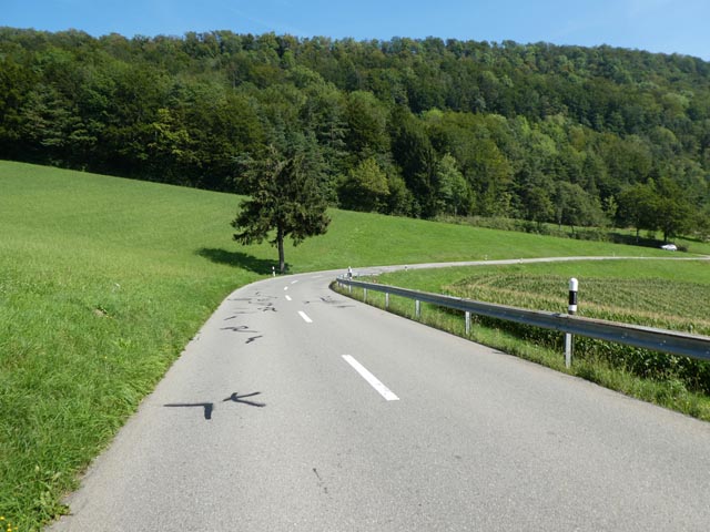 Ende Februar 2024 starten die Bauarbeiten an der Staffelegg zwischen der Passhöhe und Thalheim. Foto: zVg