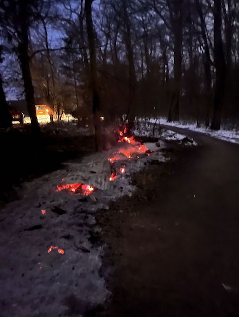 Binningen BL: Brennholzstapel in Brand geraten – die Polizei sucht Zeugen  