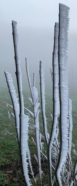 Foto: Margrit Freudemann