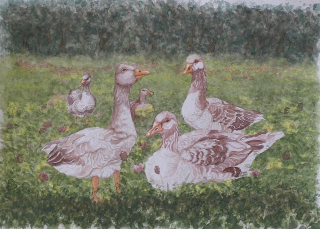 Möhlin: "Natur und Schöpfung" von Edith Burkhalter gezeigt