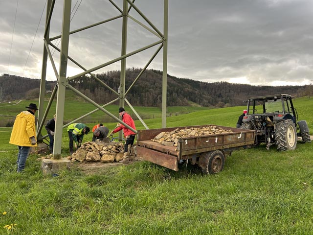 Arbeitseinsatz für Wildbienen. Foto: Benno Zimmermann