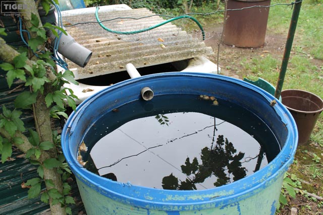 Mit dem Vermeiden von Brutstätten soll die Ausbreitung gebremst und Mückendichte niedrig gehalten werden. Foto: zVg