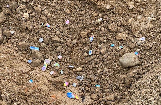 Die Kinder warfen ihre bunt bemalten Grundsteinchen in die Grube. Foto: Sonja Fasler