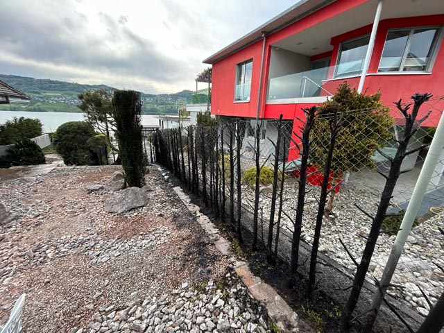 Brand in Meisterschwanden. Foto: Polizei Aargau