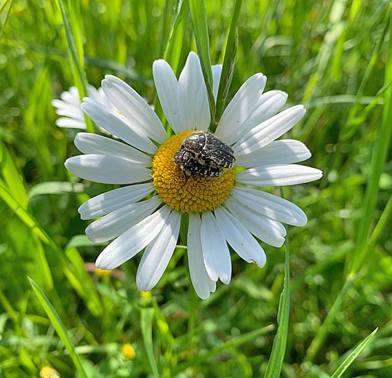 Foto: Margrit Freudemann