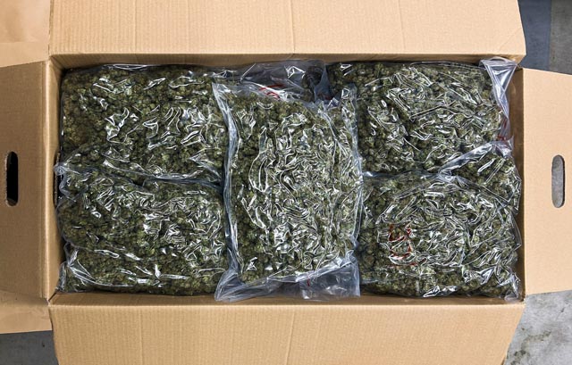 Das sichergestellte Marihuana. Foto: BAZG