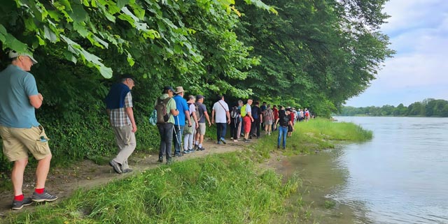 Wanderung dem Rhein entlang. Foto: Hugo Imhof