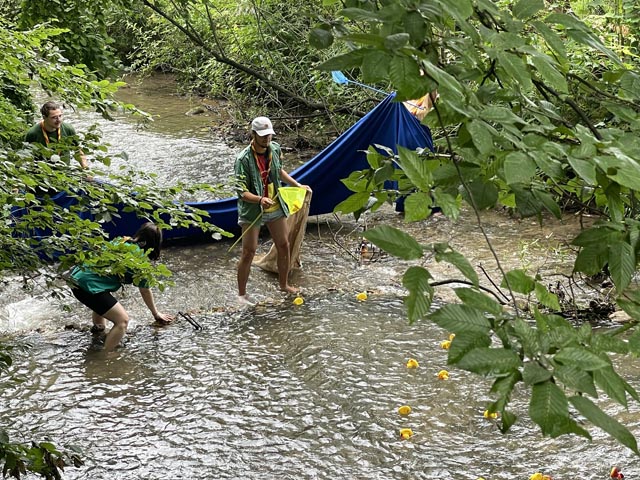 Badeentenrennen im Möhlinbach. Foto: Lilia Staiger