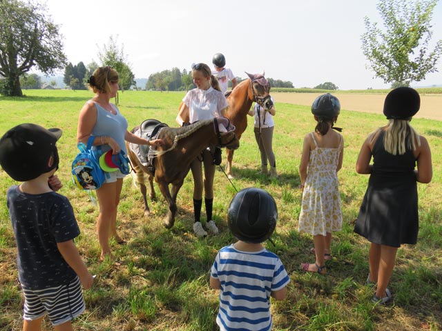 Das Ponyreiten erfreute besonders die kleinen Besucher:innen. Foto: zVg