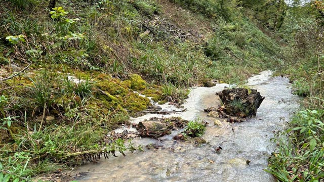 Im Buechholdenbächli bei Lausen fliesst weisses Wasser zu. Foto: zVg