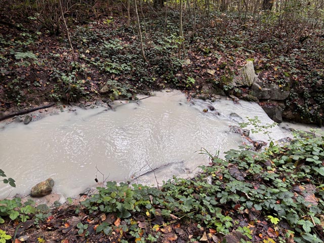 Die weisse Trübung im Buechholdenbächli bei Lausen deutet auf mineralisches Material hin. Foto: zVg