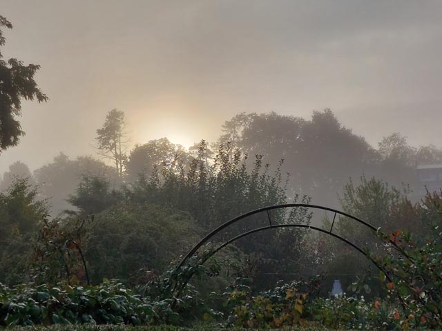 Foto: Olivia Di Marco