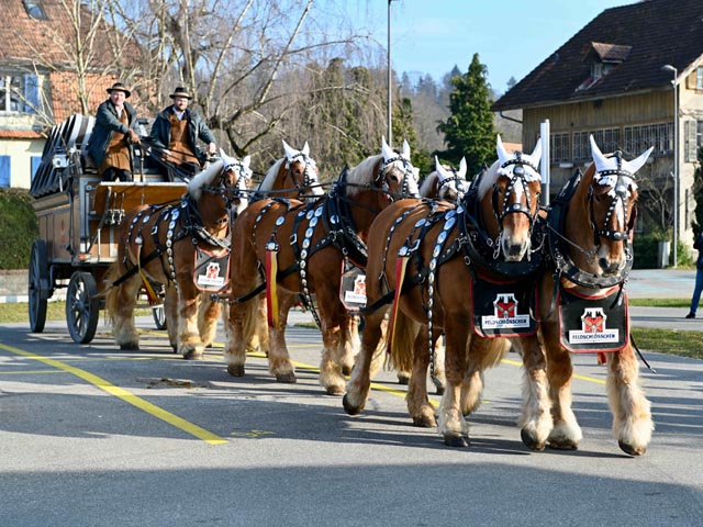 Der Sechsspänner von Feldschlösschen besucht den Kaiserhof von 11 bis 12 Uhr. Foto: zVg