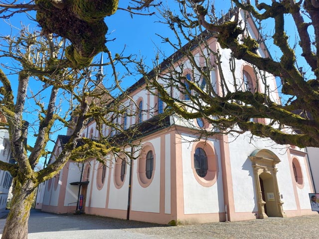Das Verenamünster in Bad Zurzach ist zentraler Schauplatz und Treffpunkt des Kulturerbe-Tags. Eine Führung führt hinauf auf den Turm. Foto: © Historische Vereinigung des Bezirks Zurzach