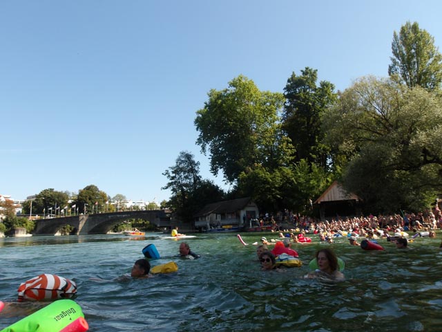 Rheinfelden: Einladung zum grenzüberschreitenden Rheinschwimmen am 10. August