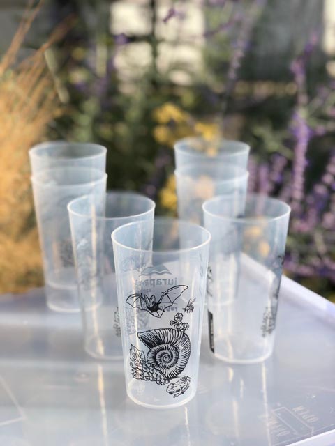 Neue Mehrwegbecher. Foto: zVg