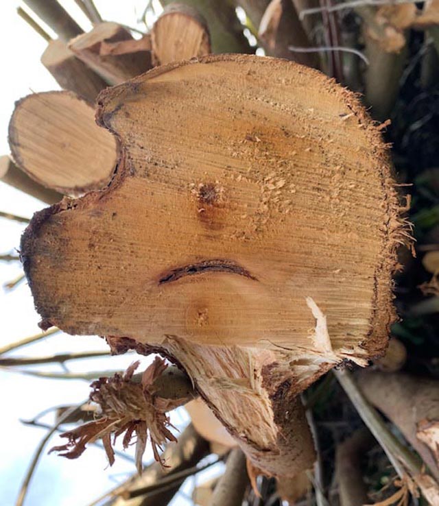 Foto: Margrit Freudemann