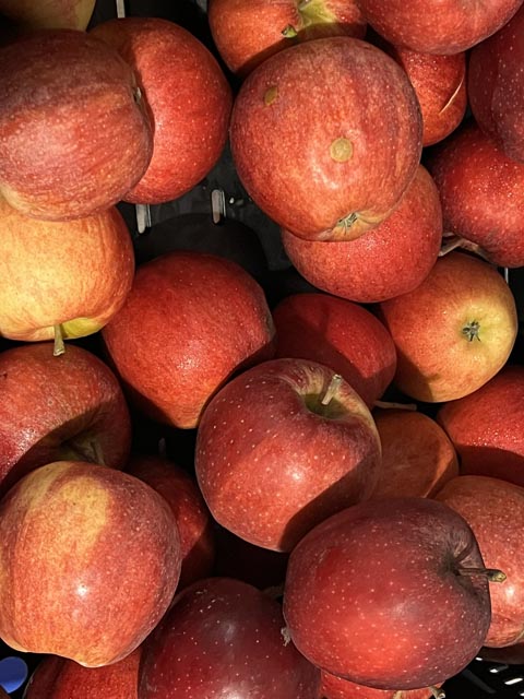 Die Vielfalt an Apfelsorten ist immens.
