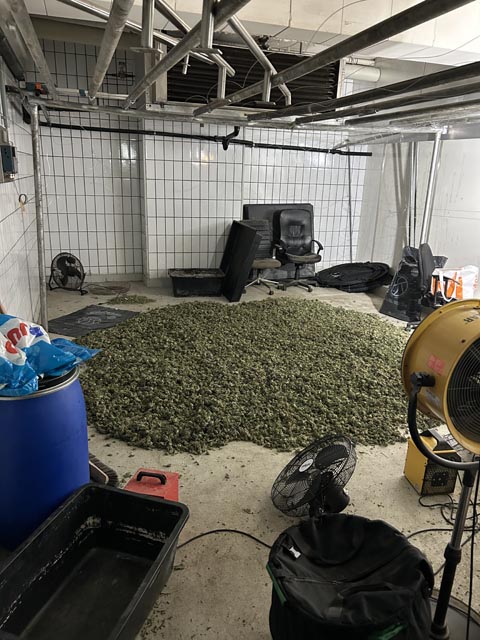 Foto: Bundesamt für  Zoll und Grenzsicherheit (BAZG)