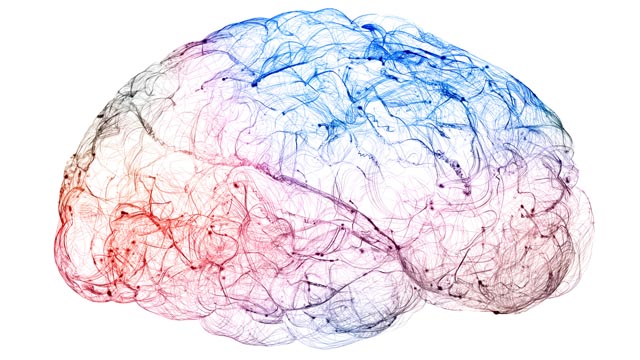 Ein Kubikmillimeter Gehirngewebe enthält rund 100 000 Neuronen, die durch etwa 700 Millionen Synapsen und 4 Kilometer «Verkabelung» miteinander verbunden sind. Diese komplexe dreidimensionale Verdrahtung ist für die Funktionsweise des Gehirns verantwortlich – lässt sich jedoch ausserordentlich schwer untersuchen. Foto: © Adobe Stock