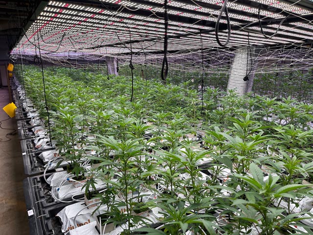 Foto: Polizei Basel Landschaft 