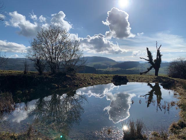 Foto:  Margrit Freudemann, Kaisten